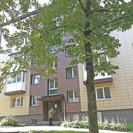 Siauliai Central Spot Apartment - Draugystes Pr. Luaran gambar